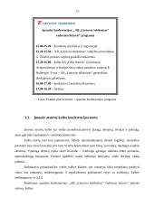 Ryšių su žiniasklaida organizavimas 12 puslapis