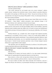 Ryšių su žiniasklaida organizavimas 13 puslapis