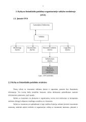 Ryšių su žiniasklaida organizavimas 7 puslapis