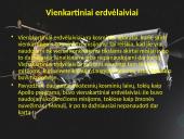 Erdvėlaiviai 2 puslapis