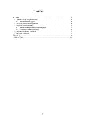 Rizika turizmo versle