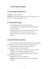 Rizika turizmo versle 3 puslapis