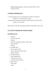 Rizika turizmo versle 4 puslapis