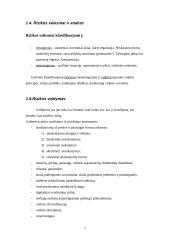 Rizika turizmo versle 6 puslapis