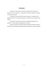 Rizika turizmo versle 8 puslapis