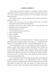 Rizikos pasireiškimo atvejų įvertinimas planavimo proceso turiniui 4 puslapis