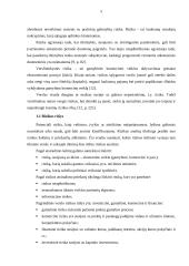 Rizikos pasireiškimo atvejų įvertinimas planavimo proceso turiniui 5 puslapis