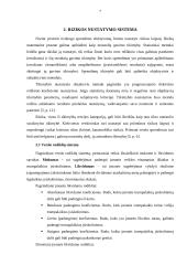 Rizikos pasireiškimo atvejų įvertinimas planavimo proceso turiniui 7 puslapis