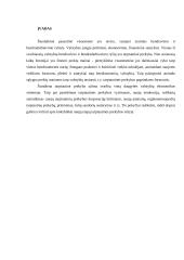 Rizikos tarptautinėje prekyboje ir būdai jas įveikti 2 puslapis