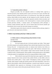 Rizikos tarptautinėje prekyboje ir būdai jas įveikti 5 puslapis