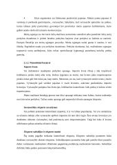 Rizikos tarptautinėje prekyboje ir būdai jas įveikti 6 puslapis