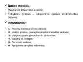 Projektinio ir procesinio valdymo modelių derinimas viešajame sektoriuje: LKA atvejo analizė 4 puslapis
