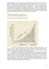 Rizikos valdymas ir jos įvertinimas 11 puslapis