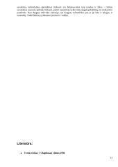 Rizikos valdymas ir jos įvertinimas 13 puslapis