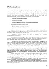 Rizikos valdymas ir jos įvertinimas 4 puslapis