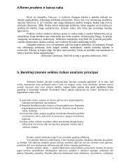 Rizikos valdymas ir jos įvertinimas 7 puslapis