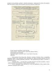 Rizikos valdymas ir jos įvertinimas 8 puslapis