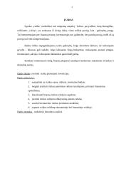 Rizikos vertinimas planuojant investicijas 2 puslapis