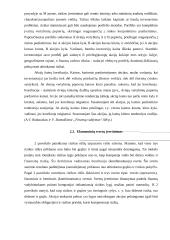 Rizikos vertinimas planuojant investicijas 11 puslapis