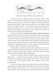 Rizikos vertinimas planuojant investicijas 12 puslapis