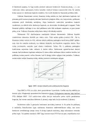 Rizikos vertinimas planuojant investicijas 13 puslapis
