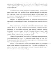 Rizikos vertinimas planuojant investicijas 15 puslapis