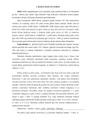 Rizikos vertinimas planuojant investicijas 16 puslapis