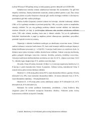 Rizikos vertinimas planuojant investicijas 17 puslapis