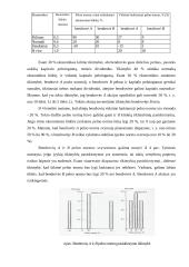 Rizikos vertinimas planuojant investicijas 18 puslapis