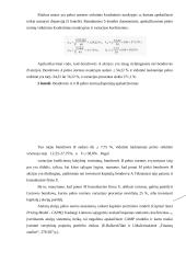 Rizikos vertinimas planuojant investicijas 19 puslapis
