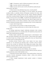 Rizikos vertinimas planuojant investicijas 4 puslapis