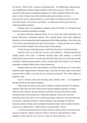 Rizikos vertinimas planuojant investicijas 6 puslapis