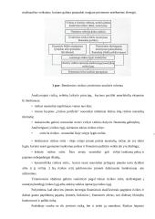 Rizikos vertinimas planuojant investicijas 7 puslapis