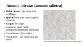 Amonio salietra 2 puslapis