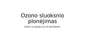 Pagrindinės ekologinės problemos 14 puslapis