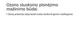 Pagrindinės ekologinės problemos 18 puslapis