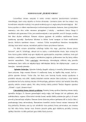 Romanas kaip „Išorinė forma“