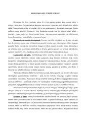 Romanas kaip „Išorinė forma“ 4 puslapis