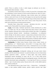 Romanas kaip „Išorinė forma“ 5 puslapis