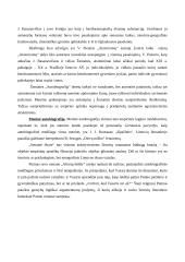 Romanas kaip „Išorinė forma“ 6 puslapis