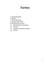 Romantizmo menas 2 puslapis