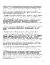 Romantizmo menas 7 puslapis