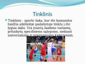 Tinklinis ir pliažo tinklinis