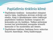 Tinklinis ir pliažo tinklinis 12 puslapis