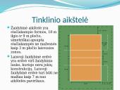Tinklinis ir pliažo tinklinis 20 puslapis