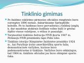 Tinklinis ir pliažo tinklinis 3 puslapis