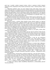 Romantizmas Lietuvoje ir pasaulyje 2 puslapis