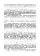 Romantizmas Lietuvoje ir pasaulyje 17 puslapis