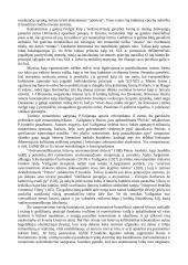 Romantizmas Lietuvoje ir pasaulyje 20 puslapis