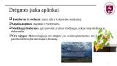 Drėgmė atmosferoje ir dirvožemyje 8 puslapis